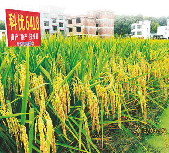 �ƃ�(y��u)6418-ˮ���N��-���ķN�I(y��)