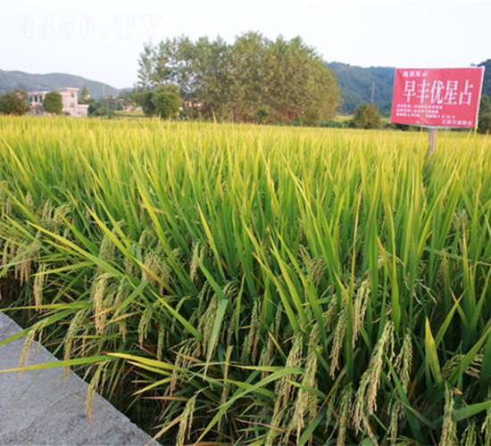 ���S��(y��u)��ռ-ˮ���N��-���ķN�I(y��)