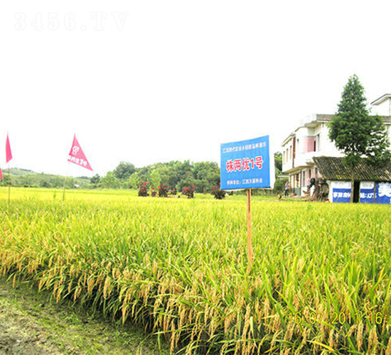 ��Ƀ�(y��u)1̖-ˮ���N��-���ķN�I(y��)