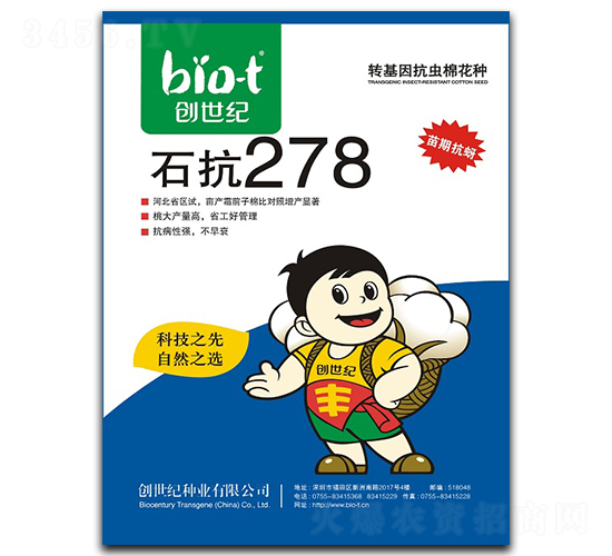 ʯ��278-�޻��N��-��(chu��ng)���o(j��)