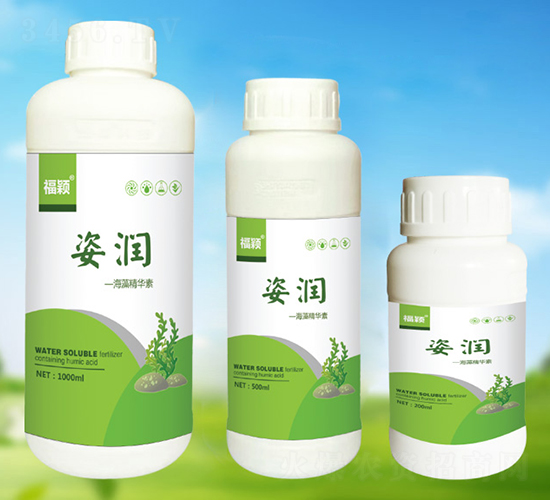 ���徫�A��-�˝�(r��n)-����