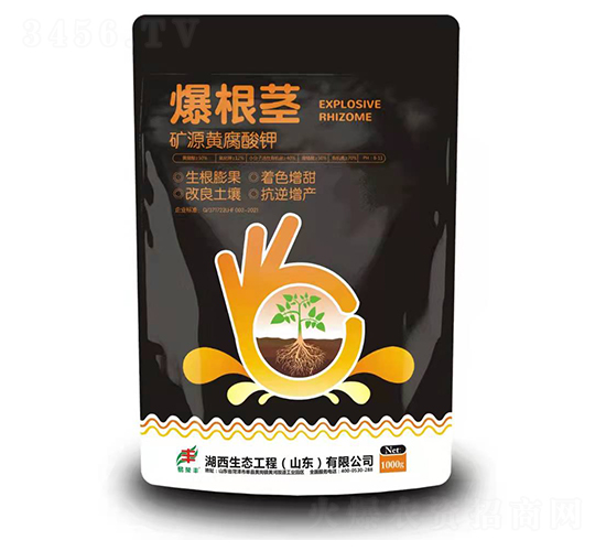 �VԴ�S�����-�����o-�������B(t��i)