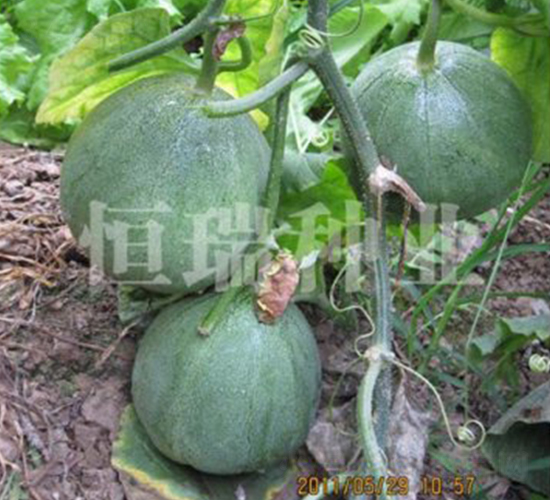 �G����-��ϷN��-����N�I(y��)