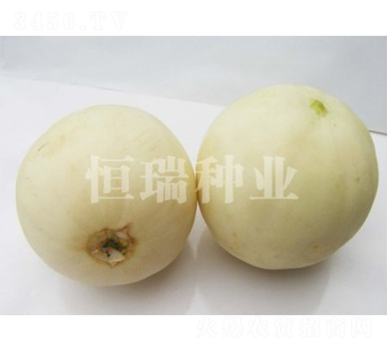 ��ѩ-��ϷN��-����N�I(y��)