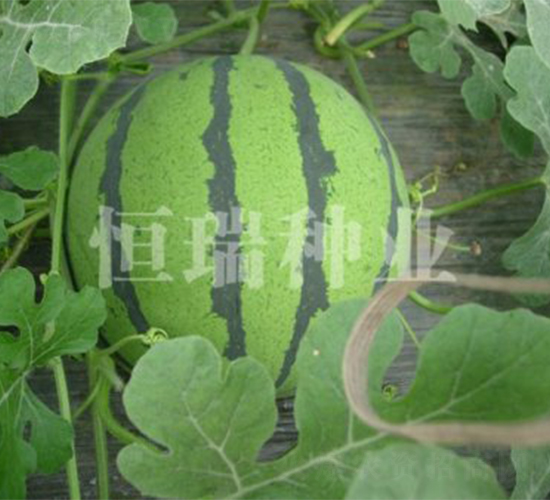 ���Ѿ���-���ϷN��-����N�I(y��)