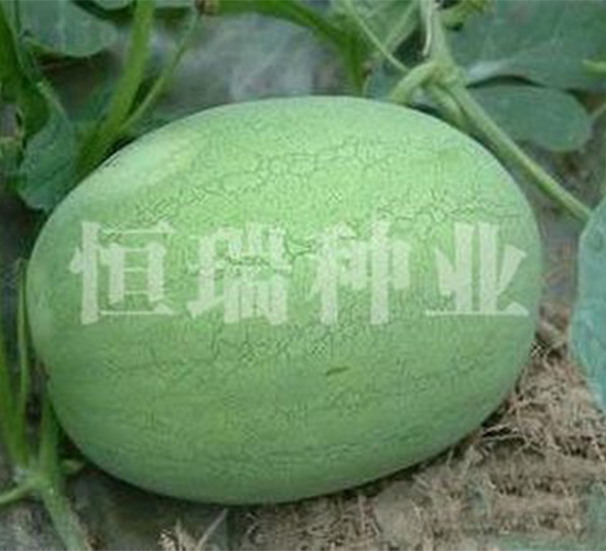 ���F��-���ϷN��-����N�I(y��)