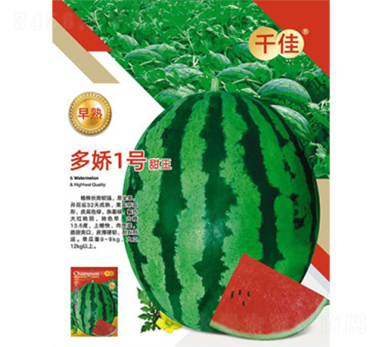 ����һ̖(h��o)����-���ϷN��-����N�I(y��)