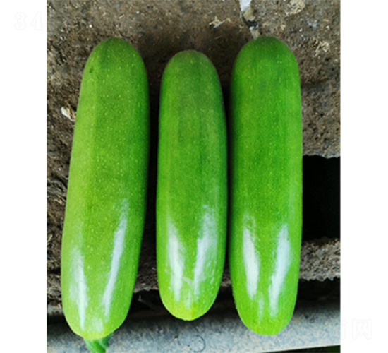 ���_(d��)����-�����J�N��-����N�I(y��)