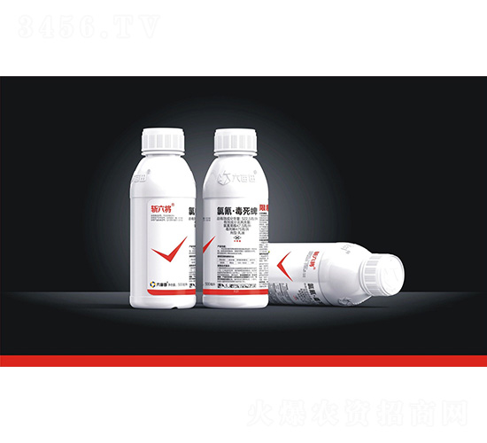 522.5��/�����衤����ơ����-������-������