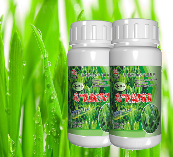 ���~���ø߮a(ch��n)��ѿ��-˹�ؿ�