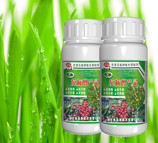 �����������a(ch��n)�`-˹�ؿ�