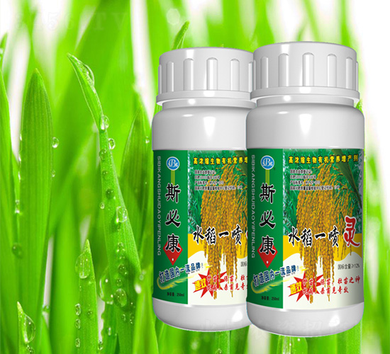 ˮ��һ���`-˹�ؿ�