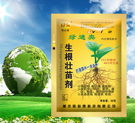 �������焩-�G�ϊW-˹�ؿ�