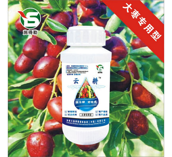 �󗗡��t�������~���-ʩ����-�Ƹ��r(n��ng)�I(y��)