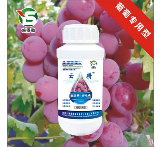 ���ь����~���-ʩ����-�Ƹ��r(n��ng)�I(y��)