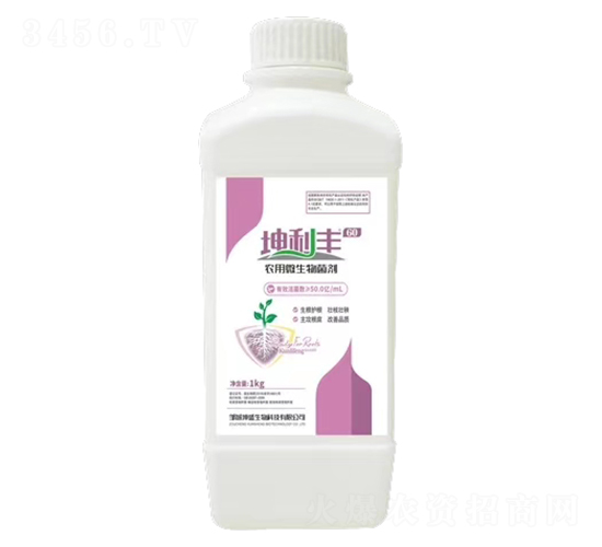 �r(n��ng)��΢�������-�����S-��ʢ����