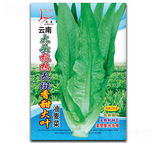 ������~-�����˷N��-�}�ʷN�I(y��)