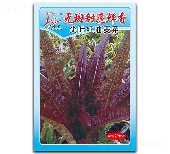 ���~�t������-�����˷N��-�}�ʷN�I(y��)