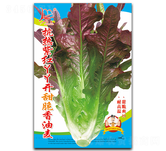 �����ϼtѾѾ�_���������-�����˷N��-�}�ʷN�I(y��)