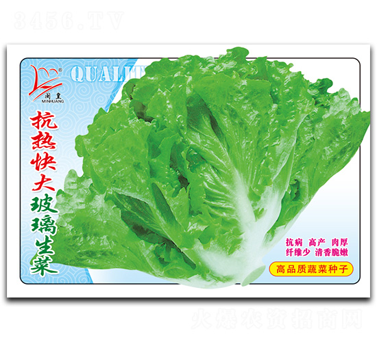 ������������-���˷N��-�}�ʷN�I(y��)