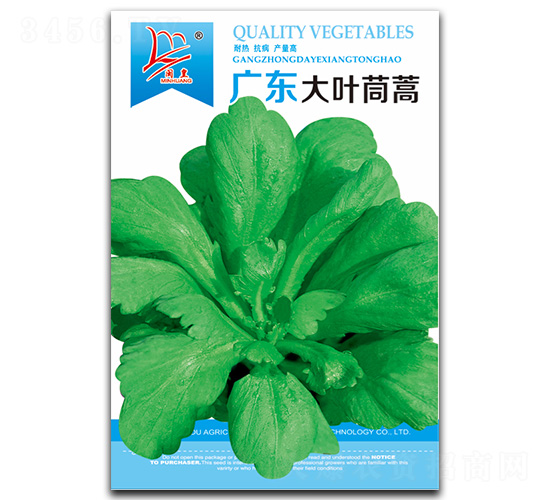 �V�|���~����-����N��-�}�ʷN�I(y��)