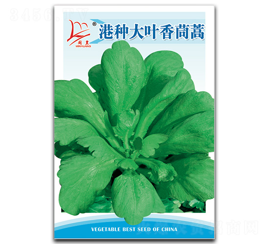 �۷N���~������-����N��-�}�ʷN�I(y��)