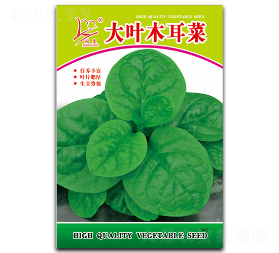 ���~ľ����-ľ���˷N��-�}�ʷN�I(y��)