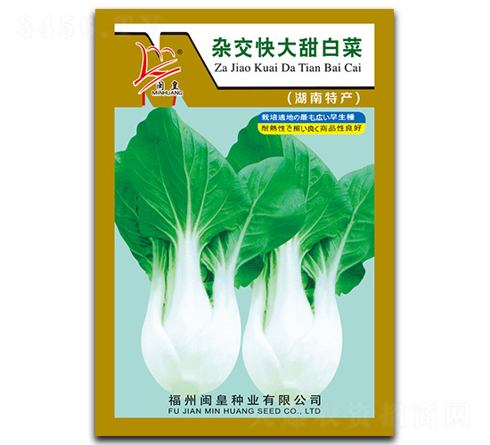 �s�������ײ�-�ײ˷N��-�}�ʷN�I(y��)