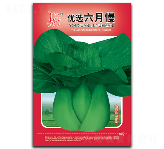 ��(y��u)�x������-��˷N��-�}�ʷN�I(y��)