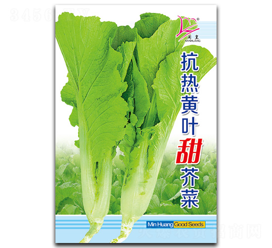 �����S�~����-��˷N��-�}�ʷN�I(y��)