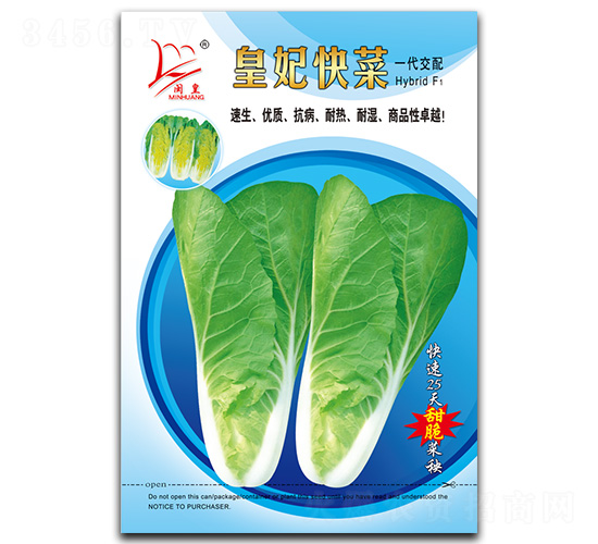 �������-��˷N��-�}�ʷN�I(y��)