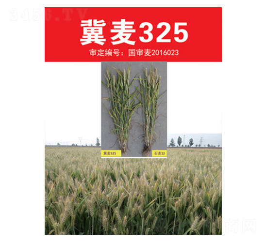 ����325-С���N��-��(li��n)