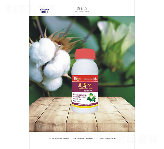 �½��޻������{(di��o)��(ji��)��-��ʡ��-һ����