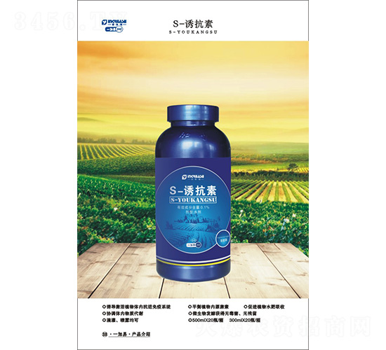 S-�T����-һ����