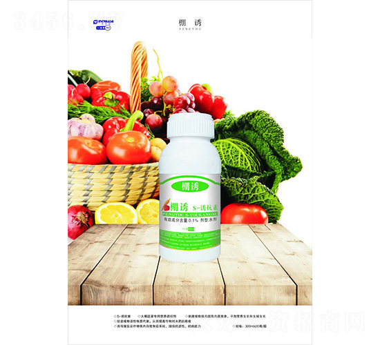 ���T-һ����