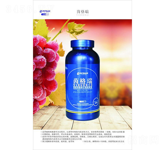 ������ֲ������̼���-�����-һ����