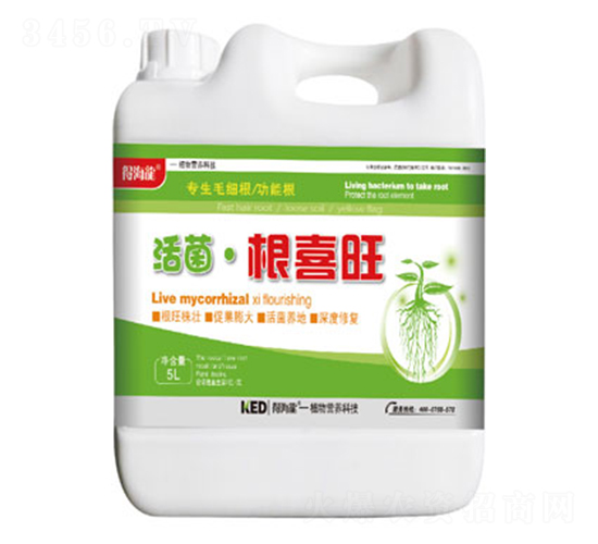 �������ϲ��-�ú���-������