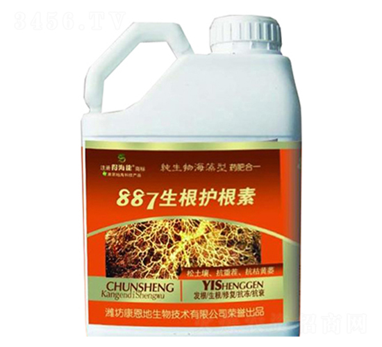 887�����o����-�ú���-������