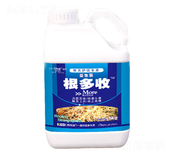 ������-�ú���-������