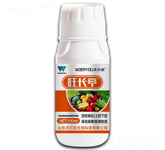 ���Lͤ-�֠���(y��u)