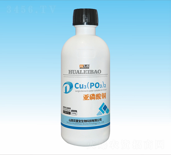 �������~-���ٌ�����