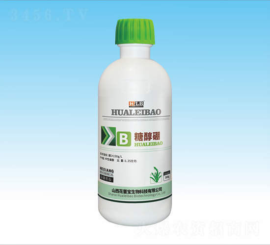 �Ǵ���-���ٌ�����