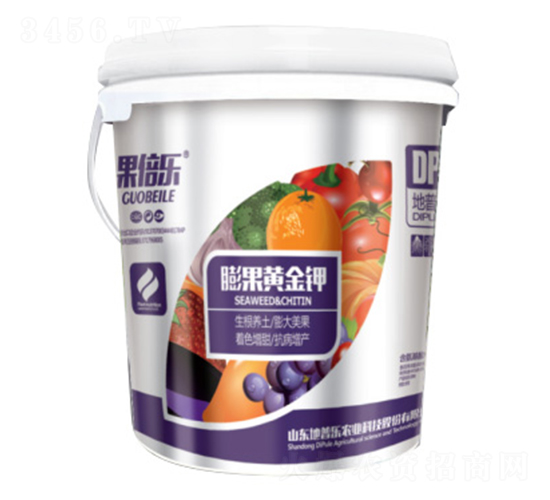 ����S���-������-���՘�