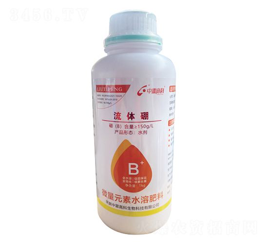 ���w��-���ظ߿�