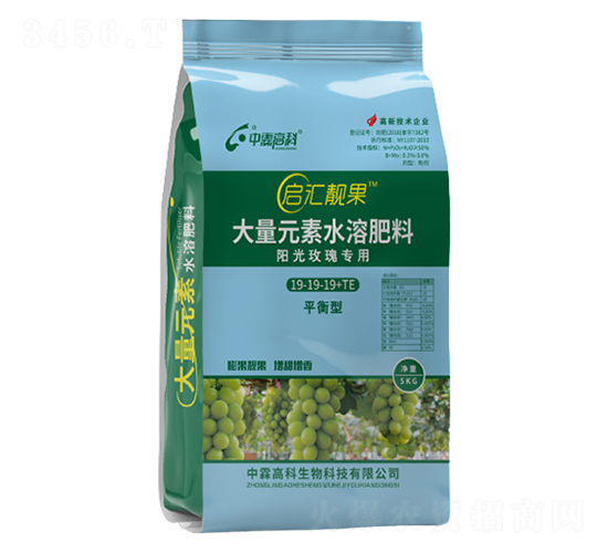 ꖹ�õ�匣��ƽ���19-19-19+TE-���R�n��-���ظ߿�