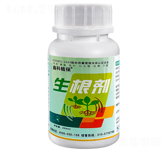 ������-�ο�ֲ��