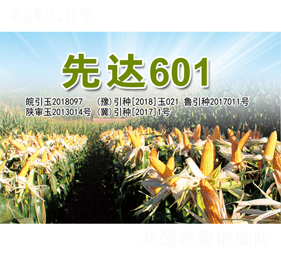 ���_(d��)601-���׷N��-�����N�I(y��)