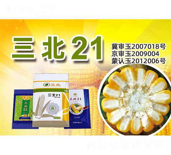 ����21-���׷N��-�����N�I(y��)