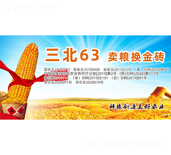 ����63-���׷N��-�����N�I(y��)