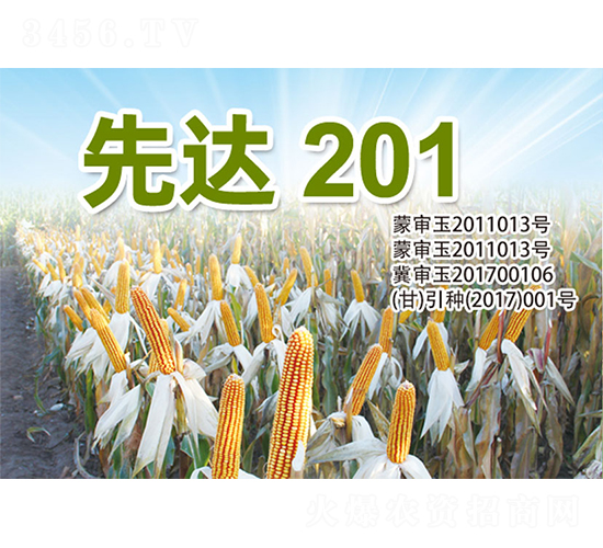 ���_(d��)201-���׷N��-�����N�I(y��)